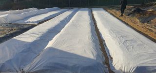 박상중님의 기타작물 · 영농일지 작성글 사진