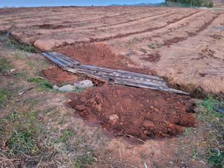 이용찬 열매마농원님의 기타작물 · 영농일지 작성글 사진