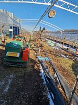 팜모닝 기타작물·영농일지 게시글 이미지