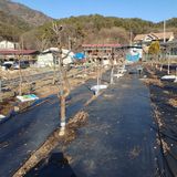 팜모닝 기타작물·영농일지 게시글 이미지