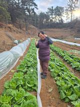 팜모닝 기타작물·영농일지 게시글 이미지