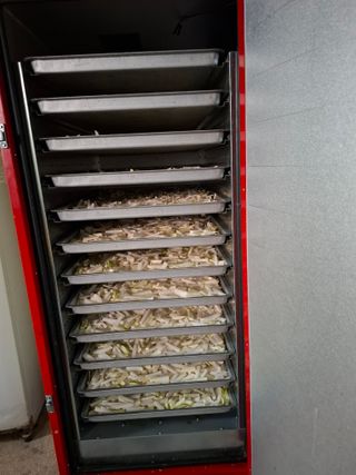 결단이님의 기타작물 · 영농일지 작성글 사진