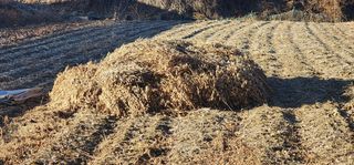 김제일님의 콩 · 영농일지 작성글 사진