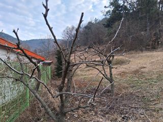 영수농원님의 기타작물 · 영농일지 작성글 사진