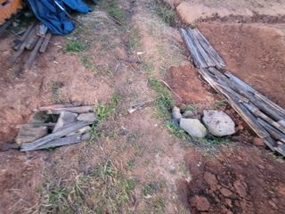 이용찬 열매마농원님의 기타작물 · 영농일지 작성글 사진