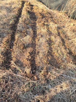 신승철님의 사과 · 영농일지 작성글 사진