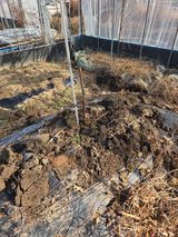 팜모닝 기타작물·영농일지 게시글 이미지