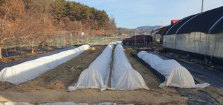 박상중님의 기타작물 · 영농일지 작성글 사진