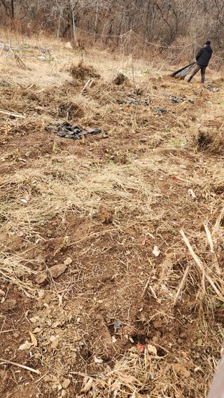 서성환님의 두릅 · 영농일지 작성글 사진