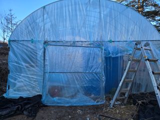 서보석님의 두릅 · 영농일지 작성글 사진