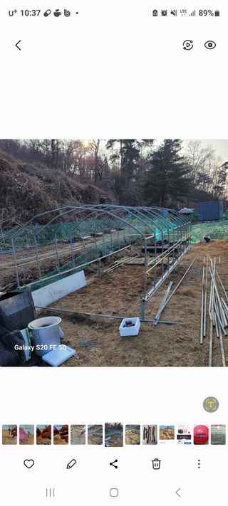 정찬영님의 기타작물 · 영농일지 작성글 사진