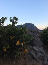 산방자연농원님의 작성글 사진