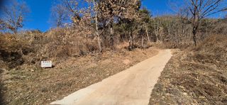 정진필님의 기타작물 · 영농일지 작성글 사진