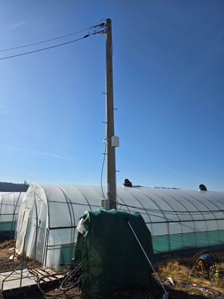 님의 기타작물 · 영농일지 작성글 사진