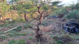 이정운님의 기타작물 · 영농일지 작성글 사진