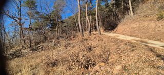 정진필님의 기타작물 · 영농일지 작성글 사진