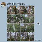 팜모닝 기타작물·영농일지 게시글 이미지