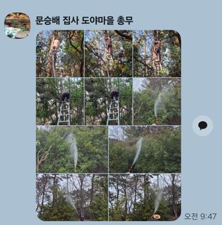 콩19996ㆍ혜자님의 기타작물 · 영농일지 작성글 사진