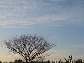 산방자연농원님의 귤 · 영농일지 작성글 사진