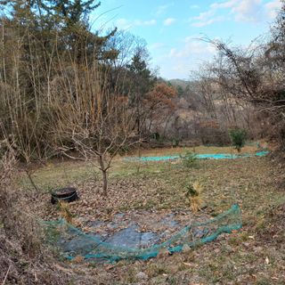 김건우님의 기타작물 · 영농일지 작성글 사진