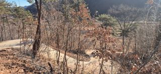 정진필님의 기타작물 · 영농일지 작성글 사진