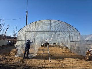 님의 기타작물 · 영농일지 작성글 사진