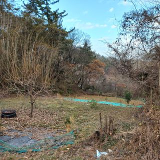 김건우님의 기타작물 · 영농일지 작성글 사진