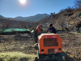 최문열님의 매실 · 영농일지 작성글 사진