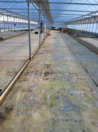 팜모닝회원 김순달 님의 기타작물 · 영농일지 작성글 사진