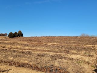 이용찬 열매마농원님의 기타작물 · 영농일지 작성글 사진