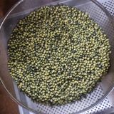 팜모닝 기타작물·영농일지 게시글 이미지