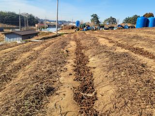 이용찬 열매마농원님의 기타작물 · 영농일지 작성글 사진