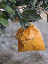 산방자연농원님의 작성글 사진