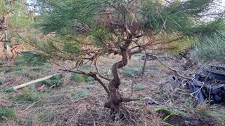 이정운님의 기타작물 · 영농일지 작성글 사진