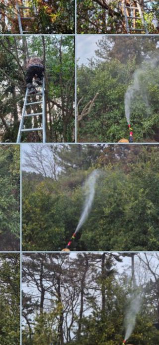 콩19996ㆍ혜자님의 기타작물 · 영농일지 작성글 사진