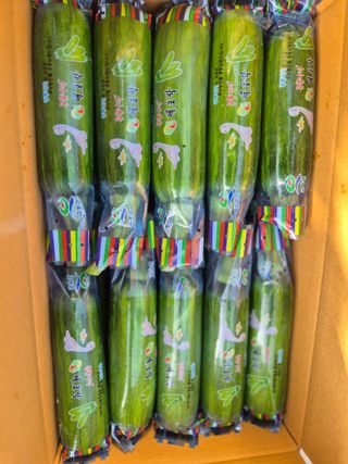 늘햇살팜 님의 기타작물 · 영농일지 작성글 사진