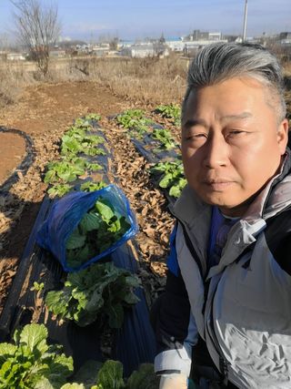 로만아빠님의 배추 · 영농일지 작성글 사진