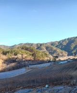 팜모닝 기타작물·영농일지 게시글 이미지