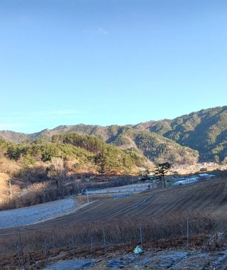 반영숙님의 기타작물 · 영농일지 작성글 사진