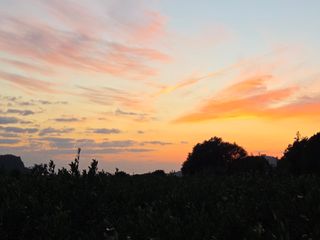 산방자연농원님의 귤 · 영농일지 작성글 사진