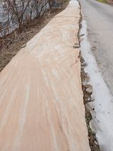 팜모닝 기타작물·영농일지 게시글 이미지