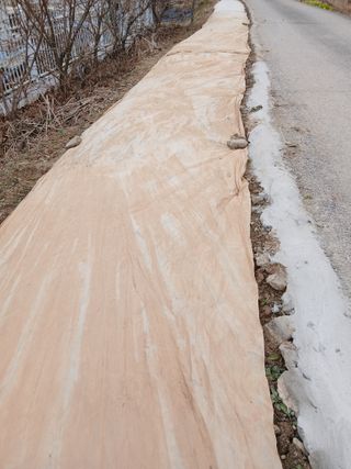 최남옥님의 기타작물 · 영농일지 작성글 사진