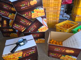 산방자연농원님의 귤 · 영농일지 작성글 사진