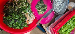 봉림동 태진농장님의 기타작물 · 영농일지 작성글 사진