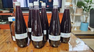 김선례님의 기타작물 · 영농일지 작성글 사진