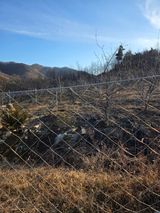 팜모닝 고추·영농일지 게시글 이미지