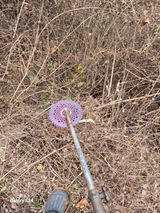 팜모닝 두릅·영농일지 게시글 이미지