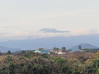 한경훈님의 작성글 사진