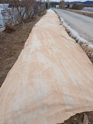 최남옥님의 기타작물 · 영농일지 작성글 사진