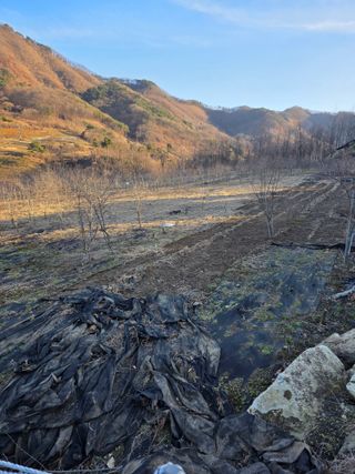 행운아님의 고추 · 영농일지 작성글 사진